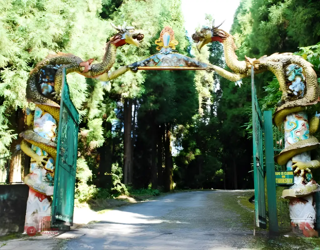 Himalayan Zoological Park - Gangtok Zoo