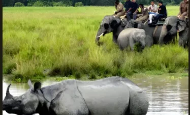 Kaziranga National Park