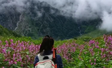 Valley Of Flowers Trek