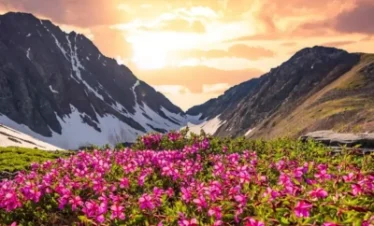 Valley Of Flowers Trek