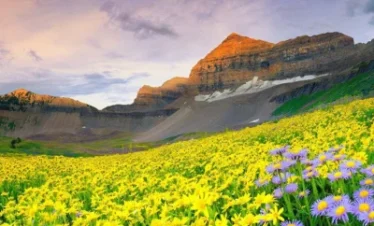 Valley Of Flowers Trek
