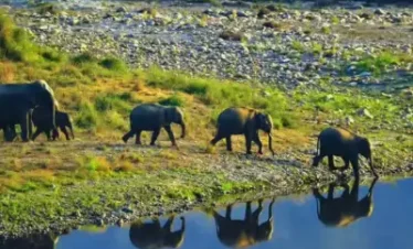 Wild & Beautiful Uttarakhand