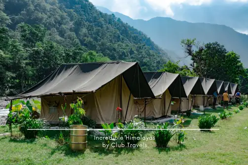 Camping in Rishikesh