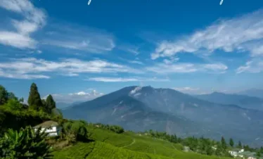 Hill Delight Tour With Pelling