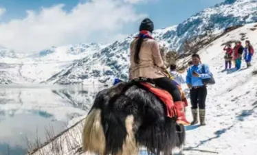 Himalayan Adventure With Lachen