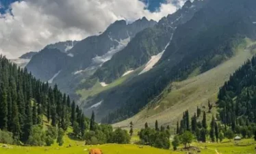 Jewel Of Kashmir