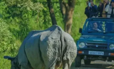 Kaziranga Wildlife Tour