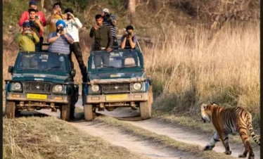 Wildlife Travel Kumaon