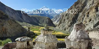 Markha Valley Trek
