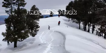 Nag Tibba Trek