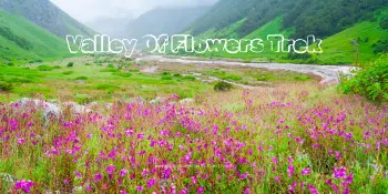 Valley Of Flowers Trek